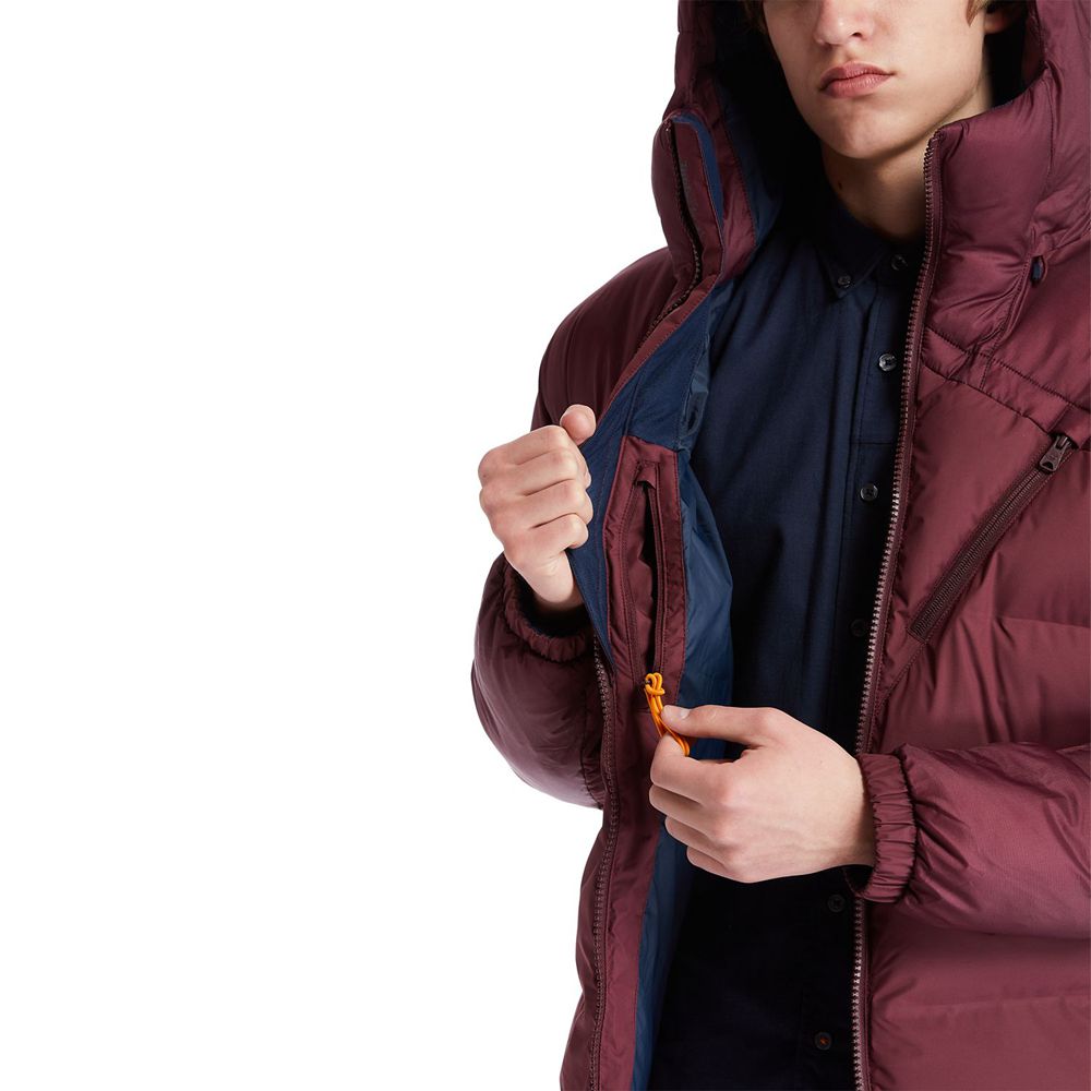 Timberland Mens Jackets Neo Summit Hooded Winter - Burgundy - India ZN3598427